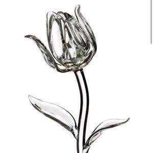 Waterford Fleurology Glass Tulip
